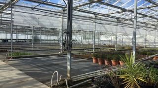 Parmi les animations organisées à la journée « Horticultures de Demain » à Romans-sur-Isère le 7 mars 2019 : des visites de cultures sous serres et au champ. ©Léna Hespel